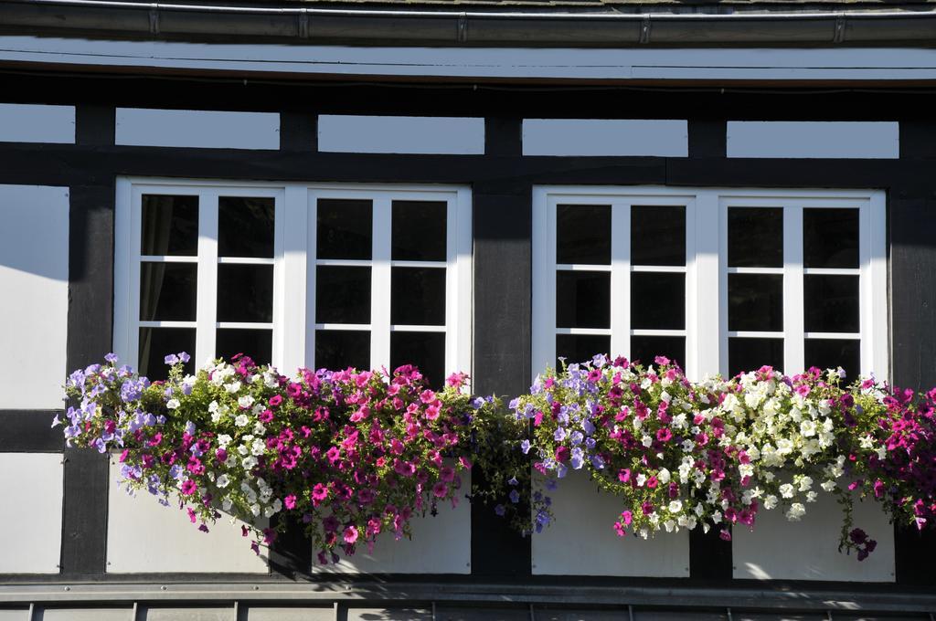 Hotel Haus Hochstein Eslohe Exterior foto